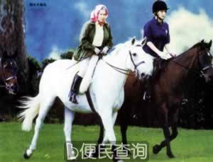 英爱德华王子与平民索菲举行世纪婚礼