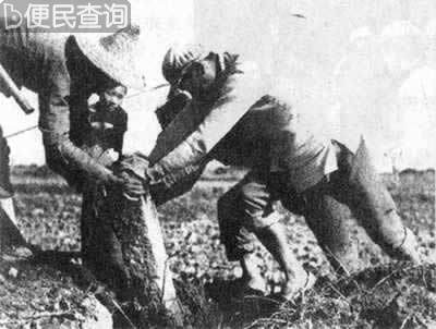 土地改革法公布施行