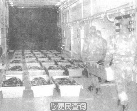 “爱沙尼亚”号客轮在芬兰近海沉没