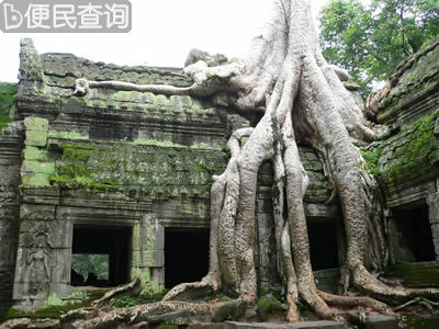 我国与柬埔寨建立外交关系