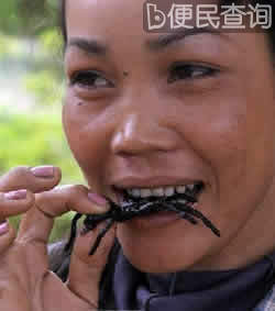 我国与柬埔寨建立外交关系