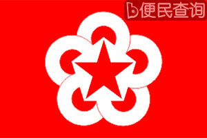 越南正式加入经互会