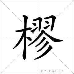 樛