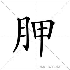 胛