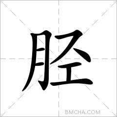 胫