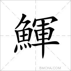 鯶