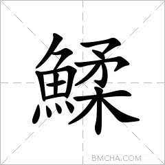 鰇