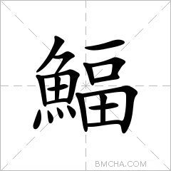 鰏