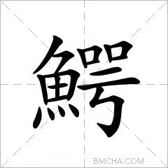 鰐