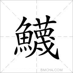 鱴
