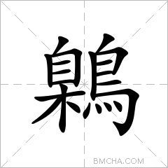 鷍