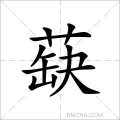 蒛