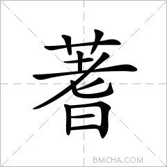 蓍